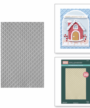 Spellbinders -in collaborazione con Stamperia - 3D embossing folder - Waffle Cone 3D