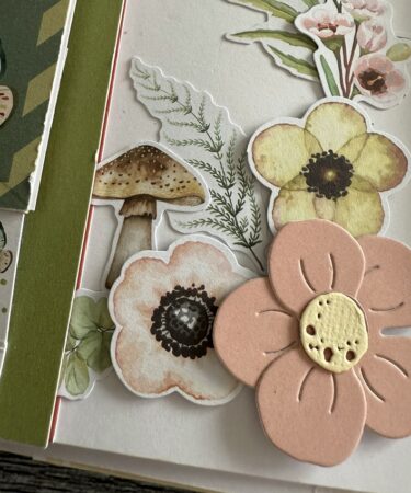 GLI ALBUM DI CLAUDIA-DISPENSA PROGETTO MARZO - PRODOTTO GRATUITO