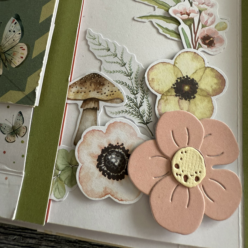 GLI ALBUM DI CLAUDIA-DISPENSA PROGETTO MARZO - PRODOTTO GRATUITO