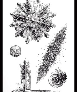 ARDEN CREATIVE STUDIO - Frosted Charm 4x8 Inch Clear Stamp Set