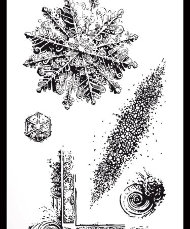 ARDEN CREATIVE STUDIO - Frosted Charm 4x8 Inch Clear Stamp Set