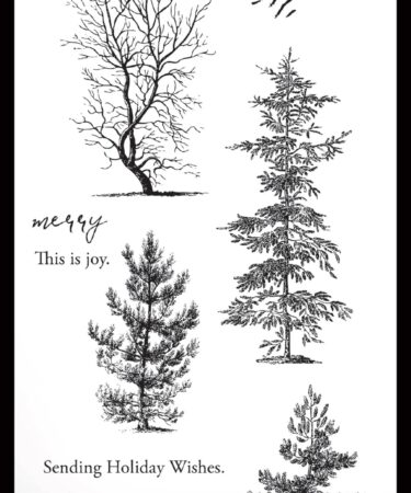 ARDEN CREATIVE STUDIO - Maker Series 4x8 Inch Clear Stamp Set Winter Etchings