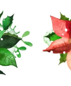 Alternative view of ARDEN CREATIVE STUDIO - Season of Joy Kiss-Cut PET Tape Poinsettia (5cmx5m)