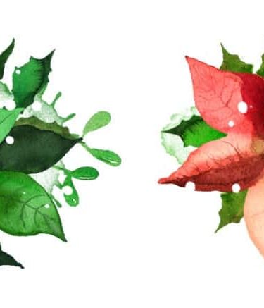 Alternative view of ARDEN CREATIVE STUDIO - Season of Joy Kiss-Cut PET Tape Poinsettia (5cmx5m)