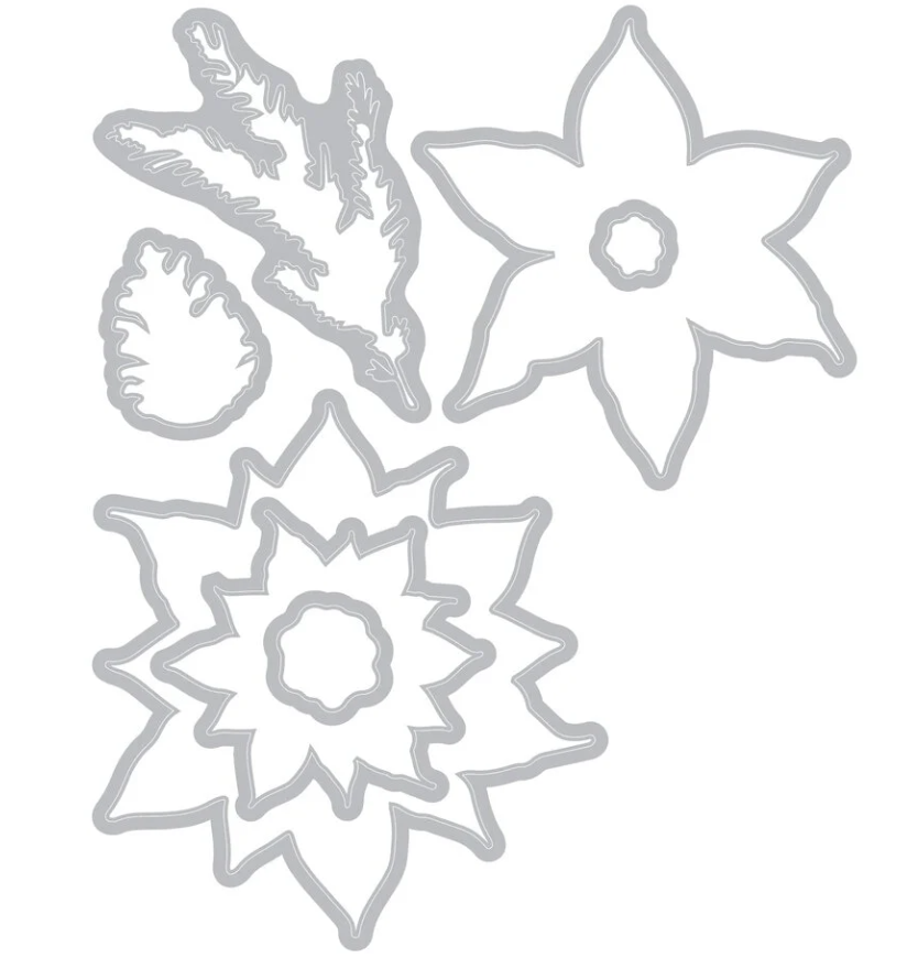 Sizzix Framelits Die w/Stamps by 49 and Market Poinsettia Trio (10+16pcs timbri e fustelle coordinate)) - immagine 4