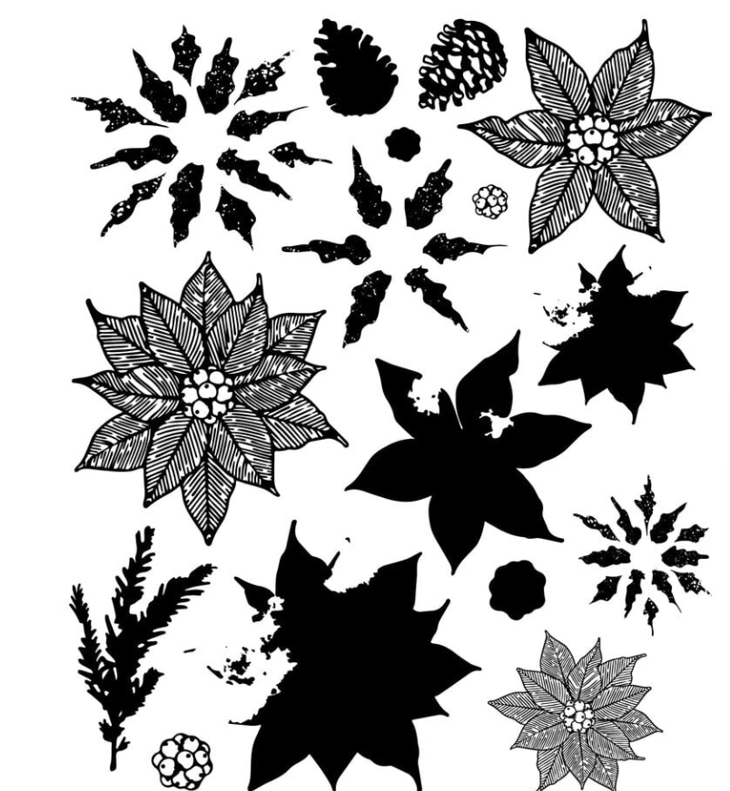 Sizzix Framelits Die w/Stamps by 49 and Market Poinsettia Trio (10+16pcs timbri e fustelle coordinate)) - immagine 3