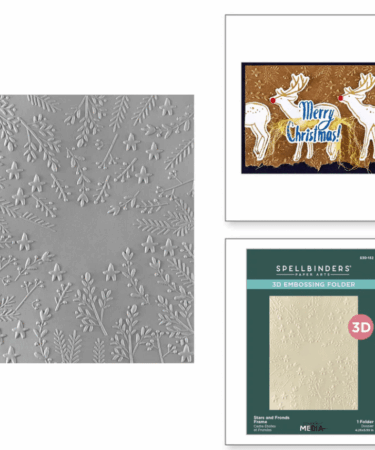 Spellbinders - Stars and Fronds Frame 3D Embossing Folder