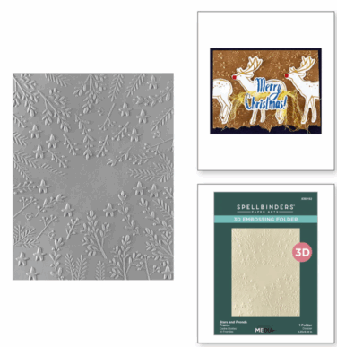 Spellbinders - Stars and Fronds Frame 3D Embossing Folder