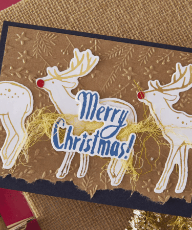 Alternative view of Spellbinders - Stars and Fronds Frame 3D Embossing Folder