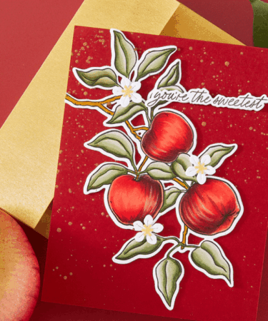 Alternative view of Hero Arts - Apple Branch Stamp & Cut Set