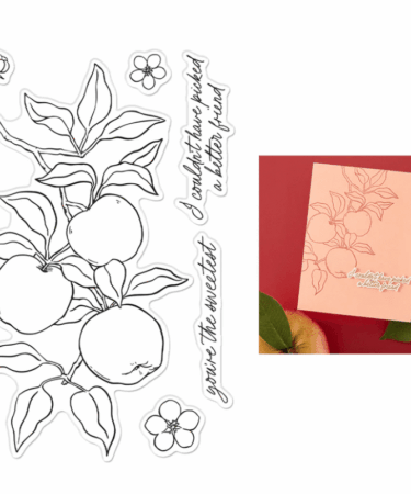 Hero Arts - Apple Branch Clear Stamp Set