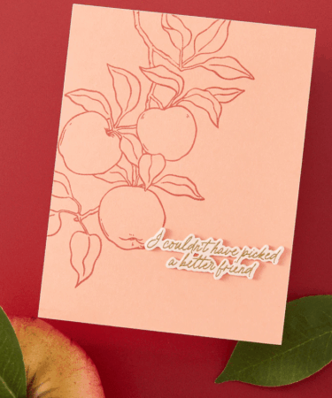 Alternative view of Hero Arts - Apple Branch Clear Stamp Set