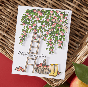 Alternative view of Hero Arts - In The Orchard Color Layering Stencils