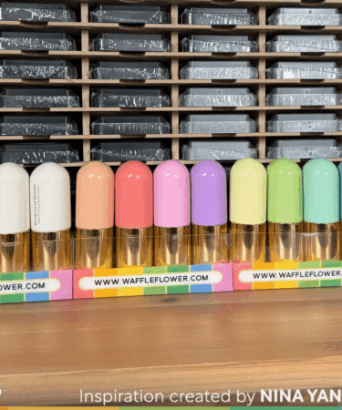 Alternative view of WAFFLE FLOWER - Background Blender - Reds