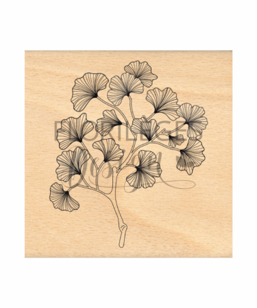 Florilèges Design - Collezione GINKGO - Timbro in legno -  BRANCHE GINKGO