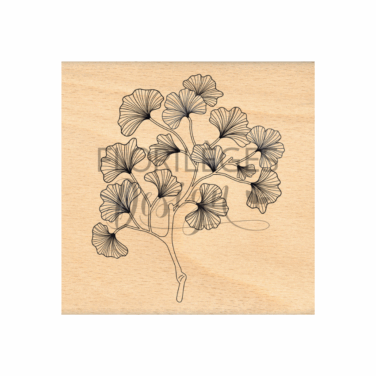 Florilèges Design - Collezione GINKGO - Timbro in legno -  BRANCHE GINKGO