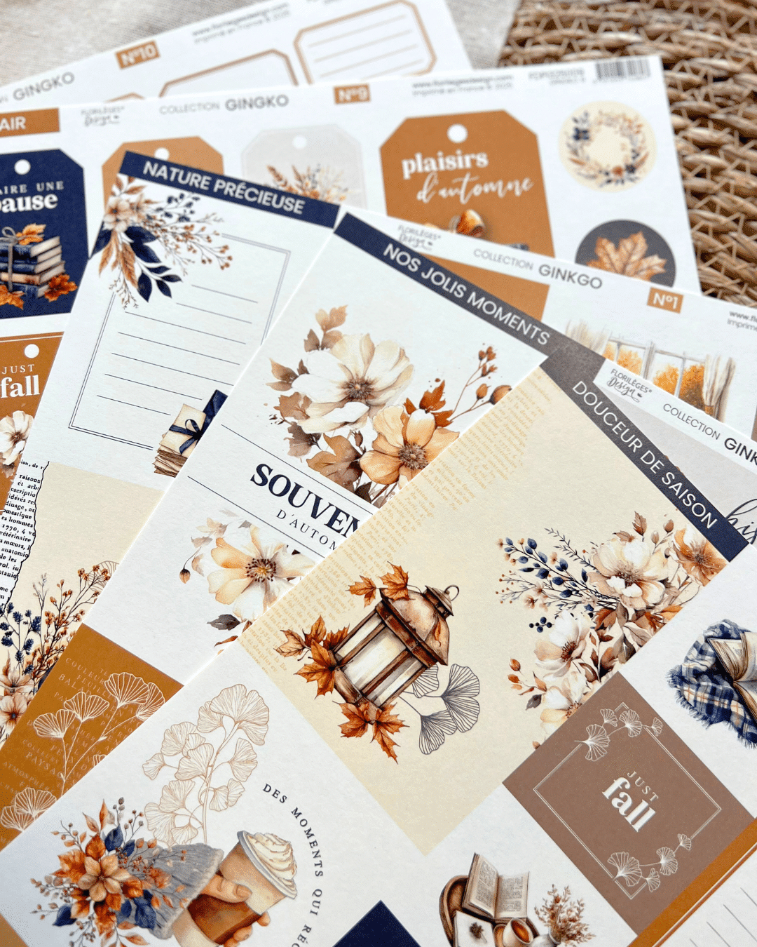 Florilèges Design - Collezione GINKGO - Kit créatif 12 cartes - immagine 2