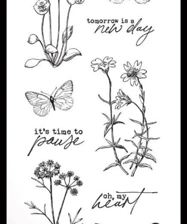 ARDEN CREATIVE STUDIO - Collezione Laurel Grove  Maker Series 4x8 Inch Clear Stamp Set Grove Notes
