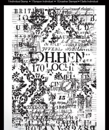 ARDEN CREATIVE STUDIO - Collezione Laurel Grove  Maker Series 4x6 Inch Background Stamp Typecast Mix 