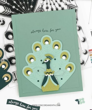 Alternative view of Concord & 9th - Pretty Peacock Dies