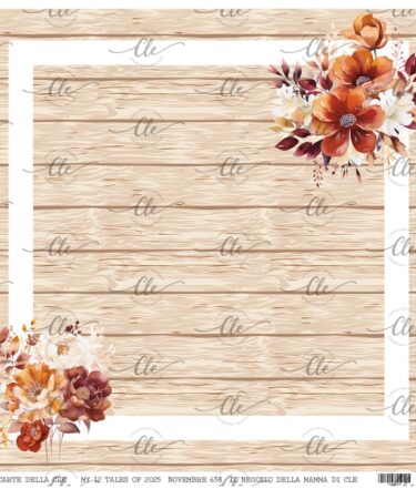 IL NEGOZIO DELLA MAMMA DI CLE - LE CARTE DELLA CLE - MY 12 TALES OF 2025- NOVEMBRE -  NUM.  638