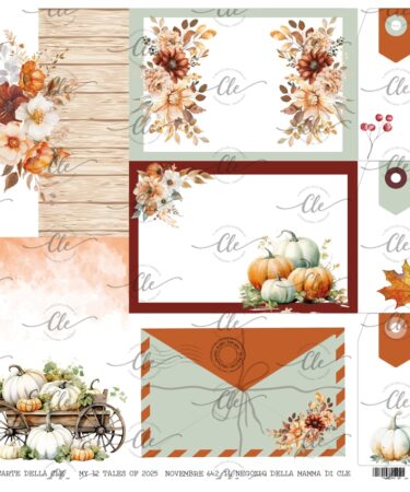 IL NEGOZIO DELLA MAMMA DI CLE - LE CARTE DELLA CLE - MY 12 TALES OF 2025- NOVEMBRE -  NUM.  642