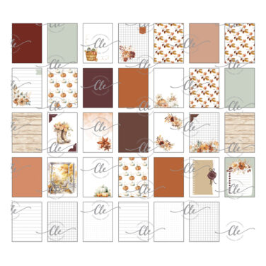 IL NEGOZIO DELLA MAMMA DI CLE – LE TESSERE DEL PROJECT LIFE DELLA CLE – MY TALES OF  2025- NOVEMBRE