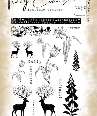 Tracy Evans Wilderness A5 Stamp