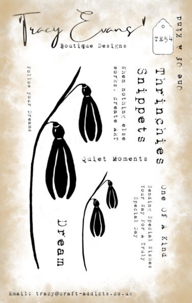 Tracy Evans One Of A Kind A7 Stamp