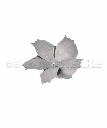 ALEXANDRA RENKE - Die 'Flower pinwheel 5'