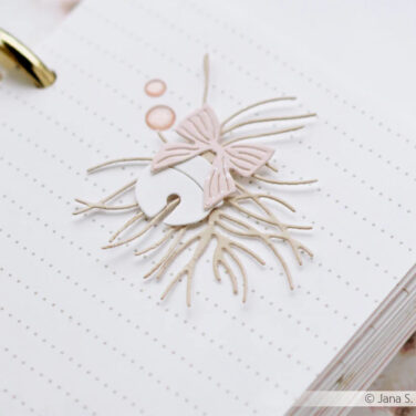 Alternative view of ALEXANDRA RENKE - fustelle Schellen