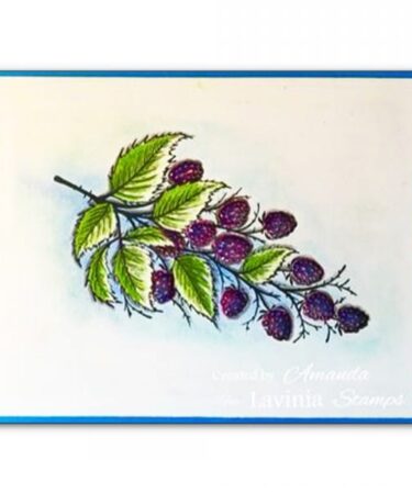 Alternative view of Lavinia Stamp - Blackberry Stamp