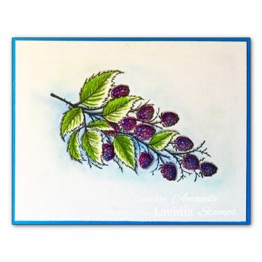 Alternative view of Lavinia Stamp - Blackberry Stamp