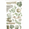 STAMPERIA -  Rub on cm 10,16x21,6 Herbarium Silvae tea time