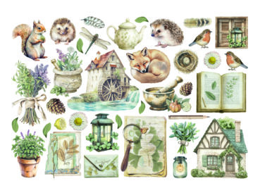 Alternative view of STAMPERIA -  Ephemera - Herbarium Silvae