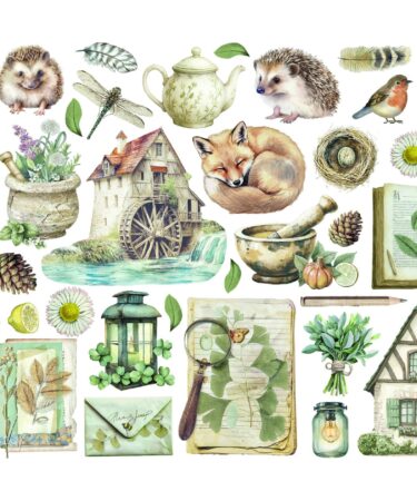 Alternative view of STAMPERIA -  Ephemera - Herbarium Silvae