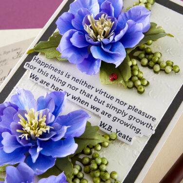 Alternative view of Spellbinders - The Poet's Garden by Susan Tierney-Cockburn  -Love-in-a-Mist Etched Dies