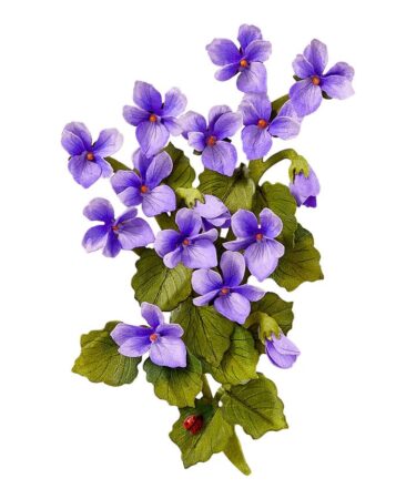 Alternative view of Spellbinders - The Poet's Garden by Susan Tierney-Cockburn  -Wild Violet and Ladybugs Etched Dies