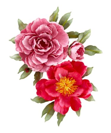 Alternative view of Spellbinders - The Poet's Garden by Susan Tierney-Cockburn  -Double & Single Peonies Etched Die