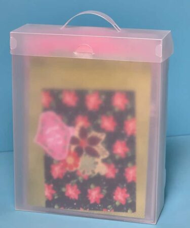 Spellbinders - The Organized Option - TOO 8.5 x 11" File Master with 5 Flip Flap Pockets