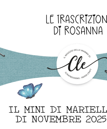 LE TRASCRIZIONI DEI LIVE- IL MINI DI MARIELLA DI NOVEMBRE 2025 - LIVE 13 DICEMBRE