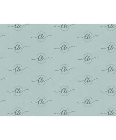 LE CARTE DELLA CLE – MY TALES OF  2026 -FEBBRAIO -  CARTA PER RIVESTIMENTO N. 264