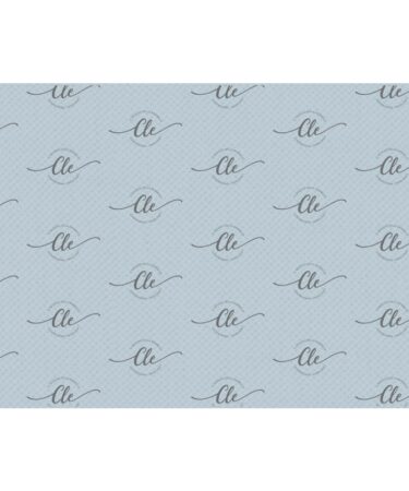 IL NEGOZIO DELLA MAMMA DI CLE - LE CARTE DELLA CLE – MY 12 TALES OF 2026 - GENNAIO- CARTA PER RIVESTIMENTO N. 262