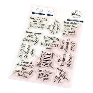 PINKFRESH STUDIO - Heartfelt Chapters stamp