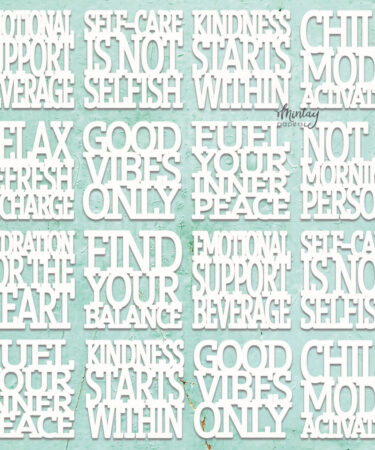 Mintay Chippies - Decor - Selfcare