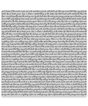 Hero Arts - Collezione Spring Meadow - Birdsong Script Cling Stamp