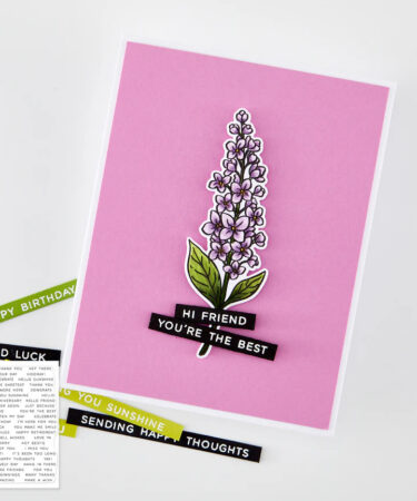 Alternative view of Hero Arts - Collezione Spring Meadow - Everyday Sentiment Strips 2 Clear Stamp Set