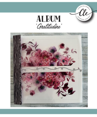 GLI ALBUM DI CLAUDIA - DISPENSA PROGETTO LUGLIO  - PRODOTTO GRATUITO