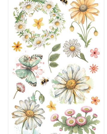 Stamperia - Collezione Daisy Art -Rub-on cm 10,16x21,6 -daisy and butterfly
