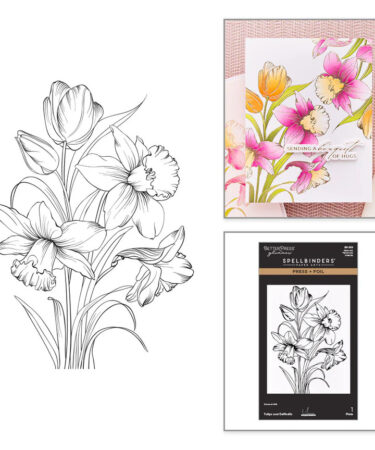 SPELLBINDERS - Collezione Yana's Tulips by Yana Smakula - Tulips and Daffodils Press + Foil Plate